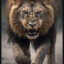 ASAD