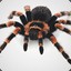 Sagantula