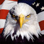 RED WHITE AND FRICKIN BLUE