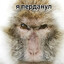 Я перданул