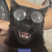 EDS | analny_snajper