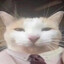 HiredCat