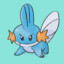 Mean Mudkip