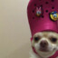 ＥＸＣＬＵＳＩＶ