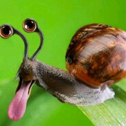 Эщкере принц 67