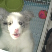 Liam - steam id 76561199764274395