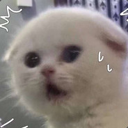 怎么会有我这么可爱的肉肉