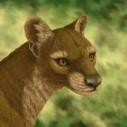 Superfossa