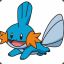 Mudkip