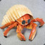 Anonymous Crab