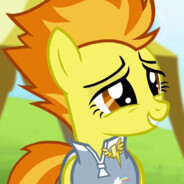 Wonderbolts  Capitain Spitfire