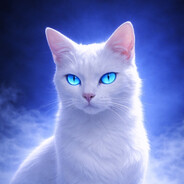 𝓣𝓲𝓬𝓪 ッ