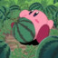 Kirby Watermelon