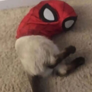 看我给你拉坨大的