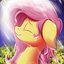 Fluttershy