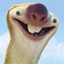 phallus phillip