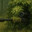 Sniper Bush