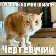 dyю blant