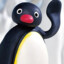 Pingu