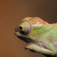 Works - steam id 76561197960630748