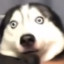 succ