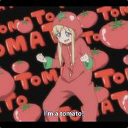Tomato™