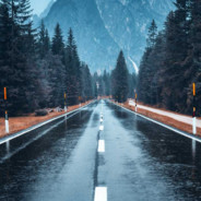 林黛玉倒拔鲁智深