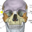 PrixyPrisci