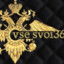 VSE_SVOI³⁶