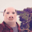 John Pork