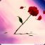 Xachi97