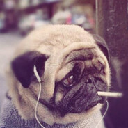 pr1ck - steam id 76561199385786893