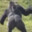 Ape-O-Mode