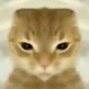 Upaedi