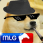 *MLG* DOGE