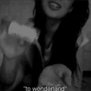 🌹🌹🌹🌹🌹🌹🌹