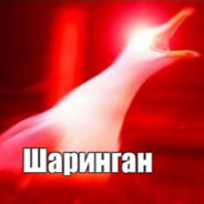 ХАБИБ МНОГОМИНЕТ