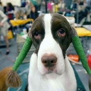 胸怀宇宙孙连城