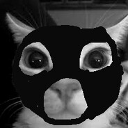 nekoprospekt