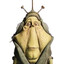 Ben Quadinaros