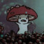 MushroomBD