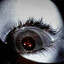 xperimenting0_0