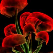 vo * llt.london - steam id 76561197964406439