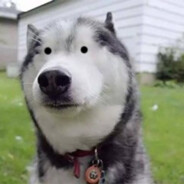 子弹上沾屎 小心了