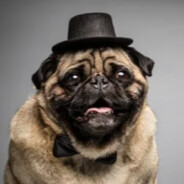 MrPuggy