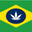 Cannabis