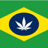 Cannabis