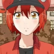 博A楼下的小狸猫