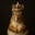 Squirrel King