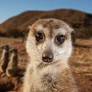 bagabontea - steam id 76561199040266688